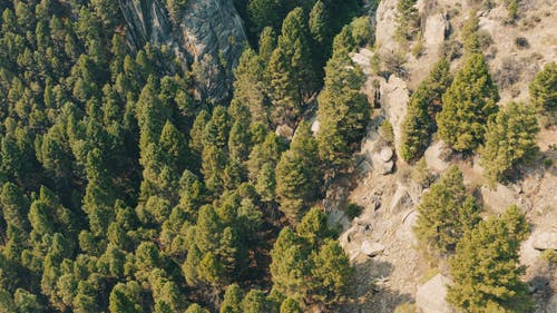 有关天性, 山, 户外的免费素材视频