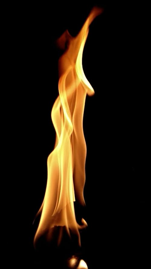 有关垂直视频, 户外, 晚上的免费素材视频