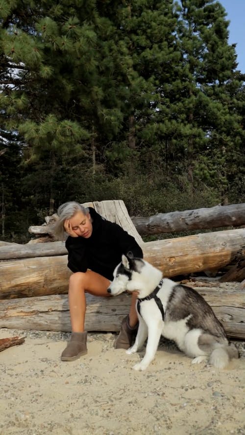 有关@户外, 叫声, 垂直视频的免费素材视频