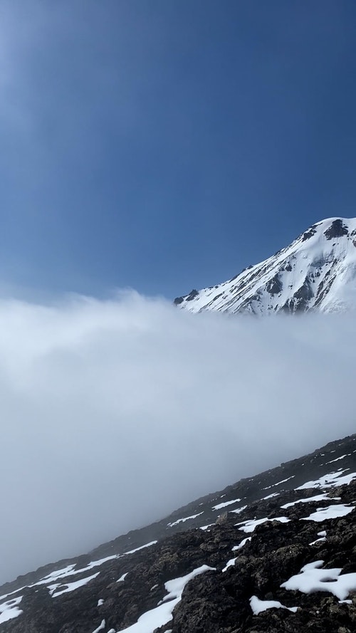 有关冬季,垂直视频,天性的免费素材视频