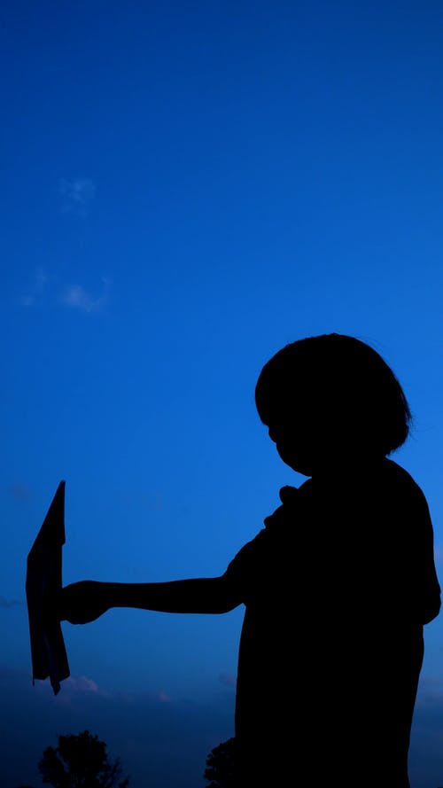 有关休闲活动, 儿童, 在剪影的免费素材视频