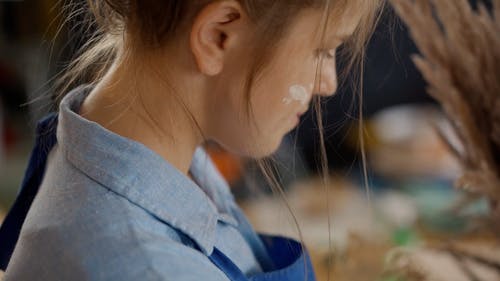 有关乾燥花, 室内, 专业的免费素材视频