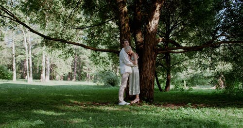 有关一对, 人, 在树下的免费素材视频