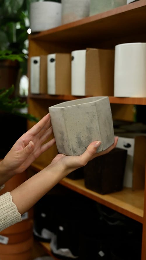 有关垂直视频, 手, 握住的免费素材视频