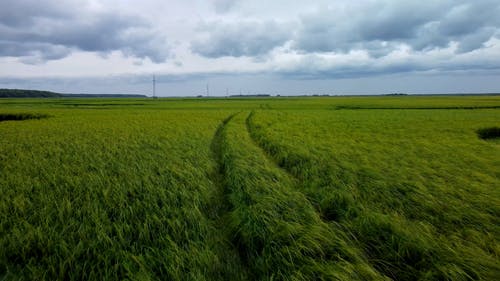 有关农业用地, 农田, 田的免费素材视频