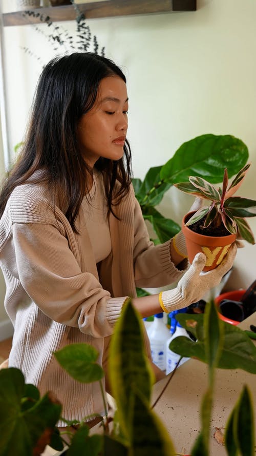 有关人, 园丁, 垂直视频的免费素材视频