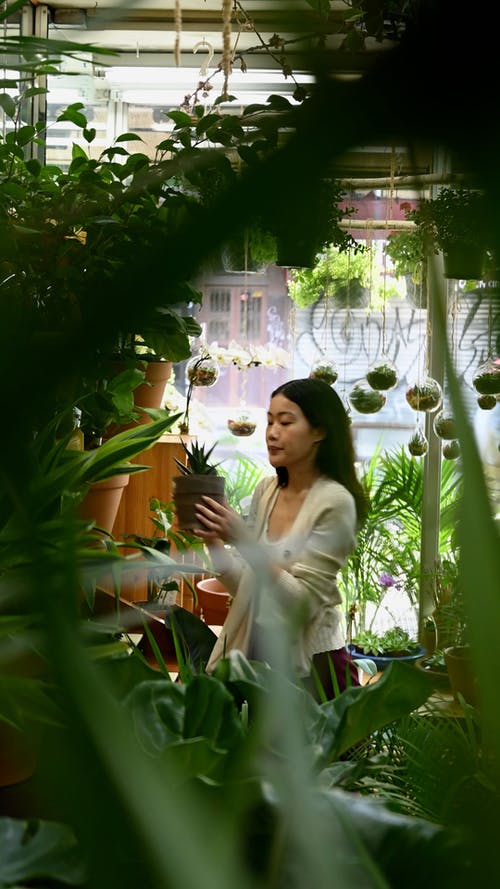 有关人, 垂直视频, 女人的免费素材视频