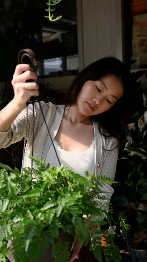 有关垂直视频, 悬挂植物, 握住的免费素材视频