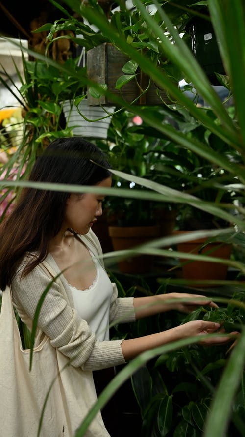 有关垂直视频, 女人, 植物的免费素材视频