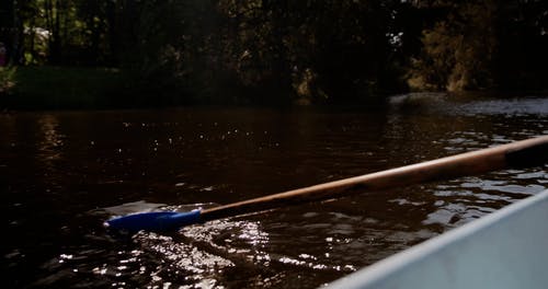 有关划桨, 桨, 特写的免费素材视频