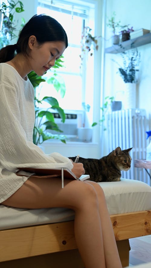 有关侧面图, 国内房间, 坐的免费素材视频