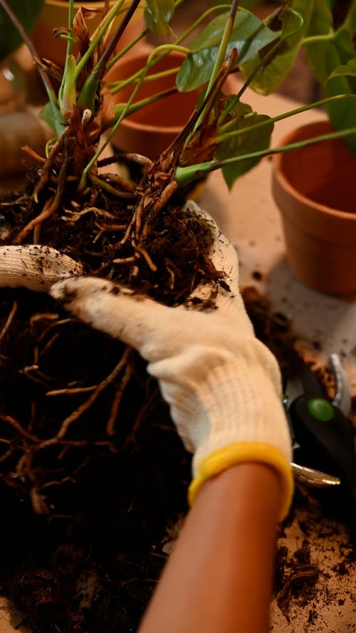 有关人的手, 土, 垂直视频的免费素材视频