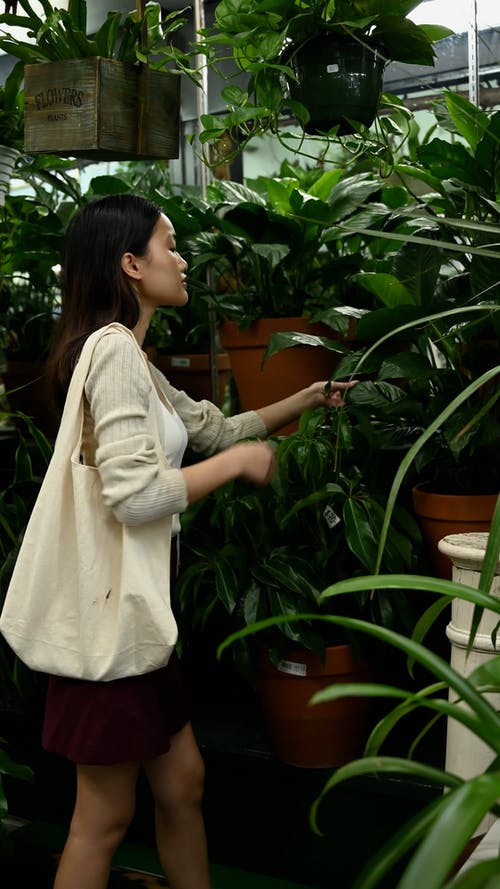 有关垂直视频, 天, 女人的免费素材视频