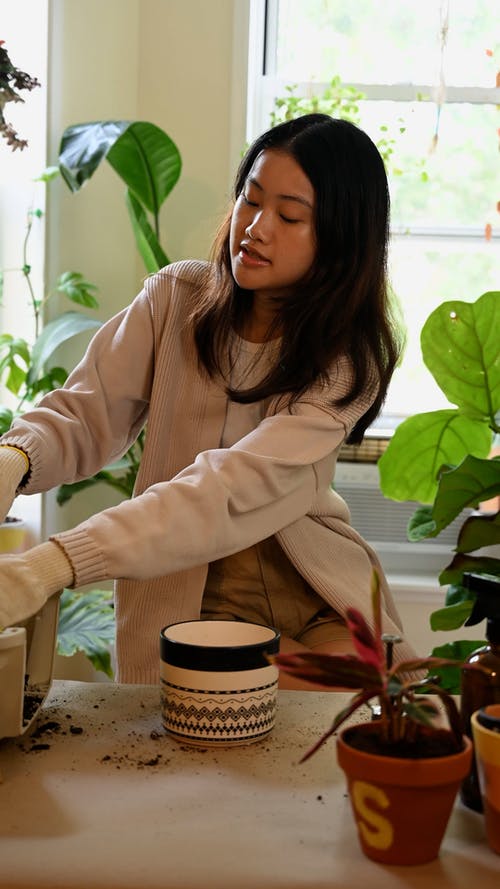 有关土, 垂直视频, 天的免费素材视频