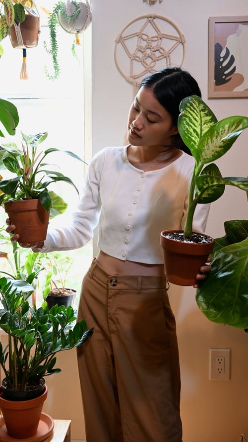 有关四分之三长度, 垂直视频, 天的免费素材视频