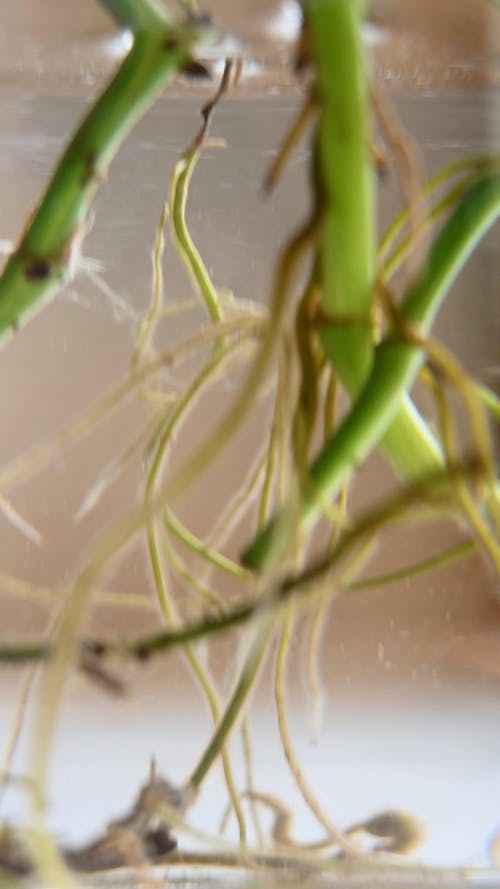 有关垂直视频, 天, 室内的免费素材视频