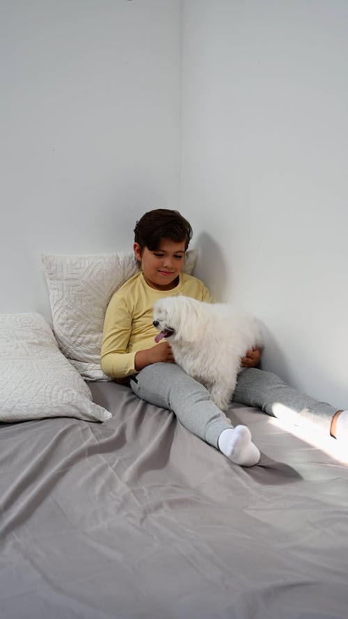 有关一起, 休闲活动, 儿童的免费素材视频