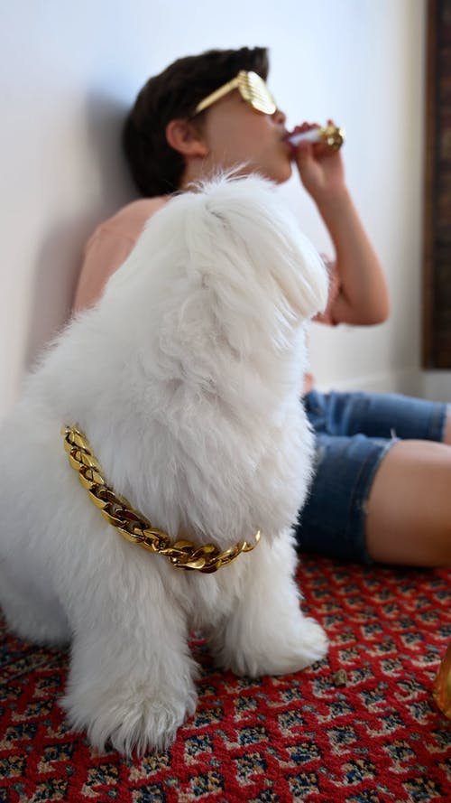 有关休闲活动, 儿童, 可爱的免费素材视频