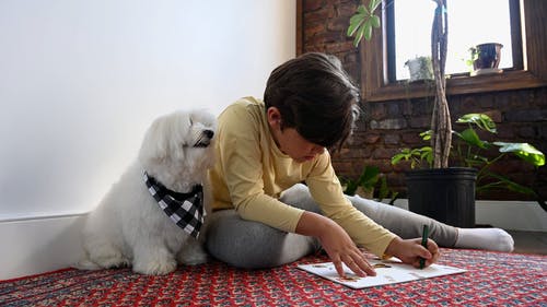 有关休闲活动, 儿童, 创造力的免费素材视频