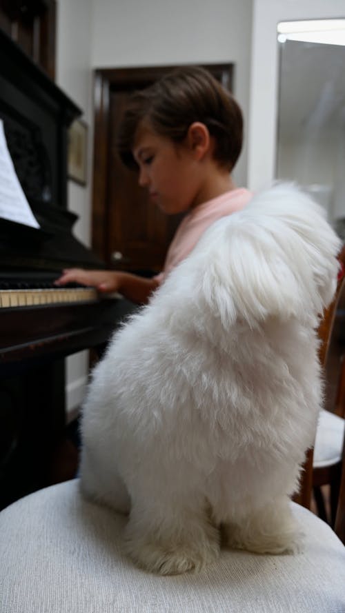 有关休闲活动, 儿童, 创造力的免费素材视频