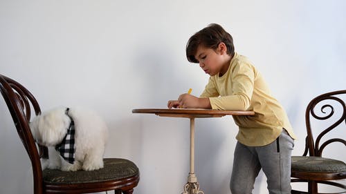 有关休闲活动, 儿童, 可爱的免费素材视频