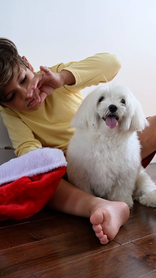 有关休闲活动, 儿童, 可爱的免费素材视频