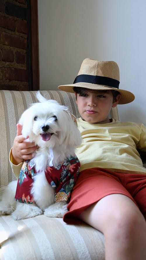 有关休闲活动, 儿童, 可爱的免费素材视频