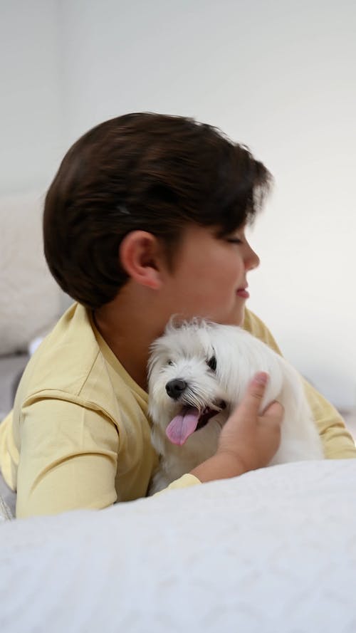 有关一起, 儿童, 可爱的免费素材视频