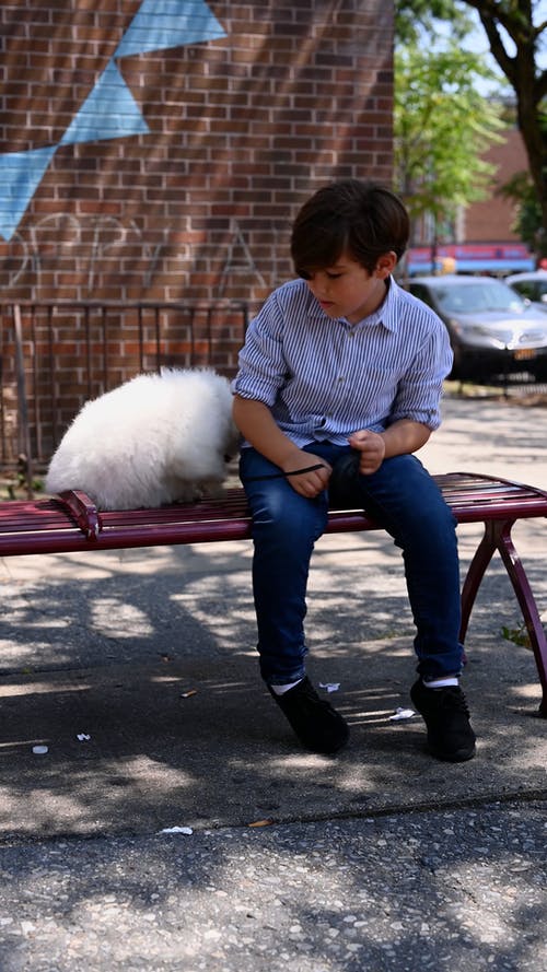 有关可爱, 坐, 垂直视频的免费素材视频