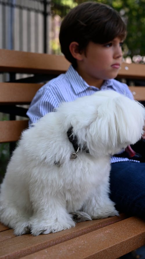 有关休闲活动, 儿童, 公园的免费素材视频