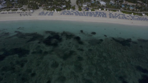 有关岛,巴哈马,度假村的免费素材视频