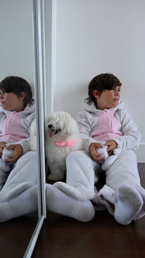 有关休闲活动, 儿童, 动物代表的免费素材视频