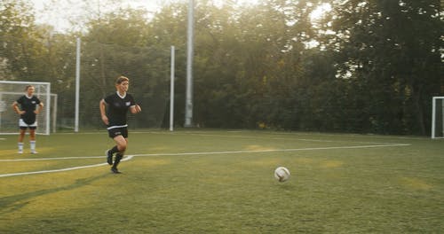 有关人, 偶然的人, 团队合作的免费素材视频