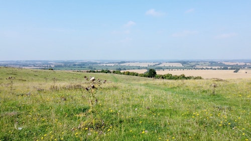 有关天性,性质,景观的免费素材视频