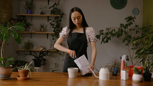 有关修剪花草,倾斜地平线,围裙的免费素材视频