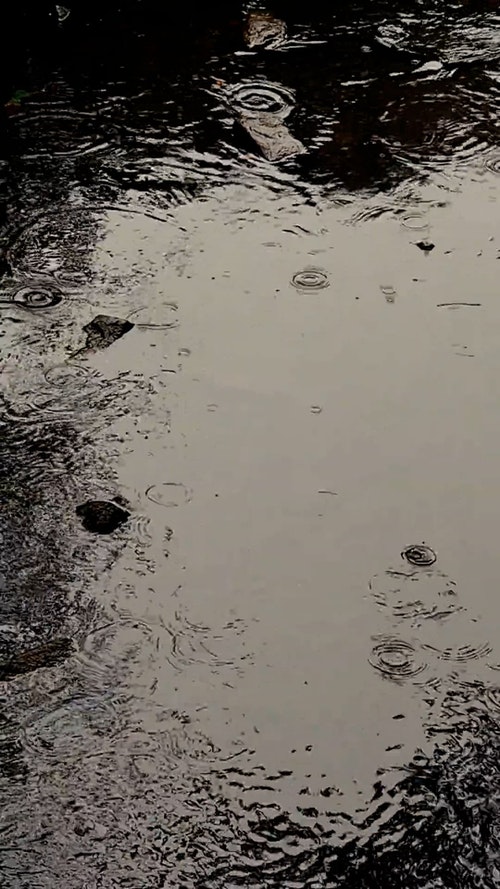 有关垂直视频,水,流的免费素材视频