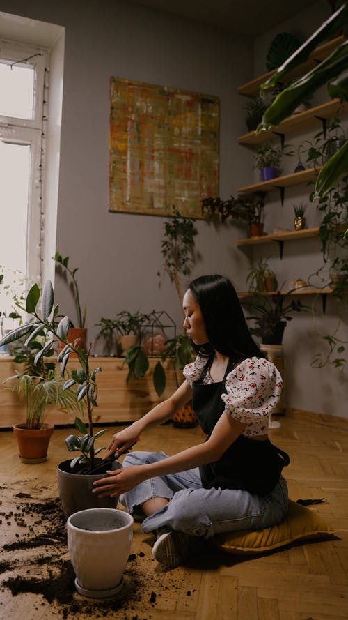 有关嗜好, 土, 垂直视频的免费素材视频