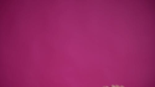 有关一起, 多民族, 手的免费素材视频