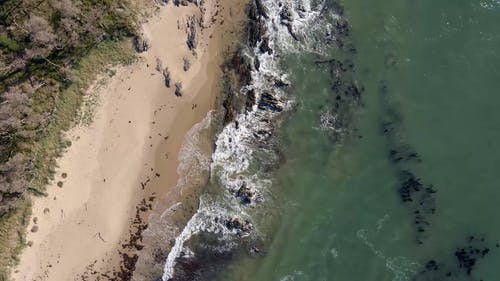 有关户外, 招手, 海景的免费素材视频