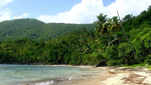 有关天堂, 天性, 岸边的免费素材视频