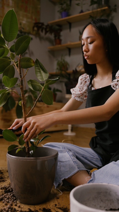 有关工厂,新生活,植物的免费素材视频