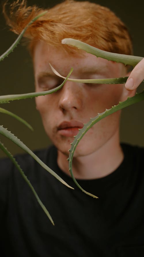 有关人, 仙人掌植物, 垂直视频的免费素材视频