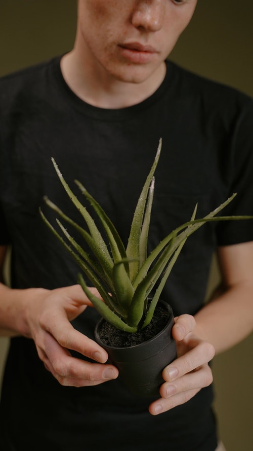 有关人,垂直视频,握住的免费素材视频