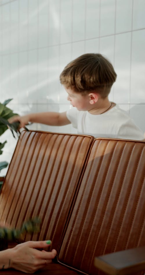 有关一起, 享受, 垂直视频的免费素材视频