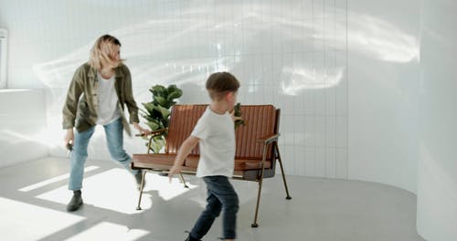 有关在家, 室内植物, 播放的免费素材视频