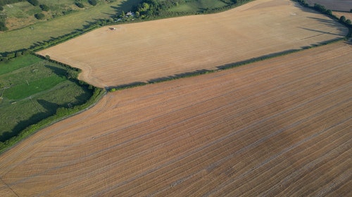 有关农业领域,天性,性质的免费素材视频