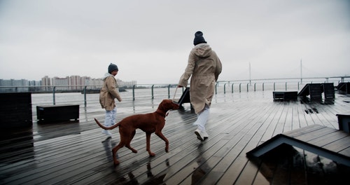 有关（顶部有小羊毛球的）羊毛帽子,一起,下雨天的免费素材视频