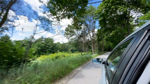 有关在移动中, 户外, 树的免费素材视频