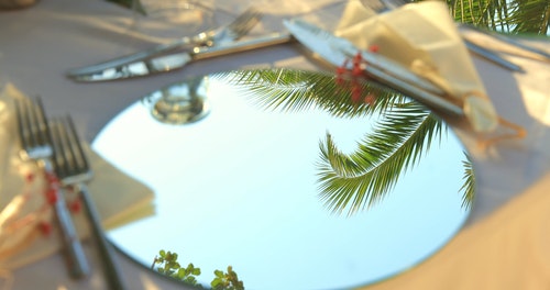 有关反射,晴朗的天空,棕榈树的免费素材视频