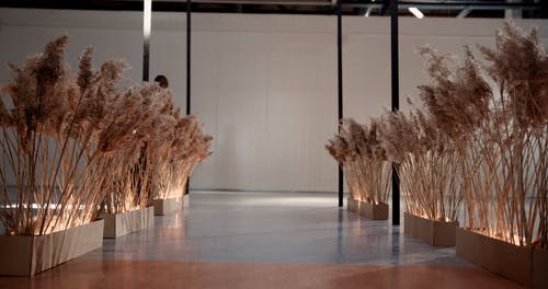 有关光鲜亮丽, 室内, 摆姿势的免费素材视频